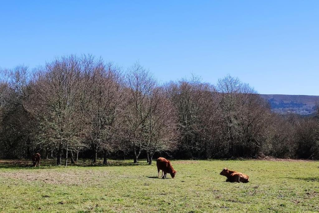 Casa Carmina: Casa Para Pequenos Grupos En El Corazon De Galicia O Irixo Exterior foto