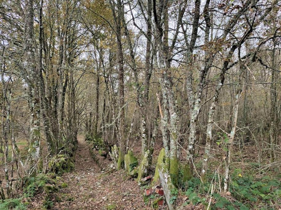 Casa Carmina: Casa Para Pequenos Grupos En El Corazon De Galicia O Irixo Exterior foto